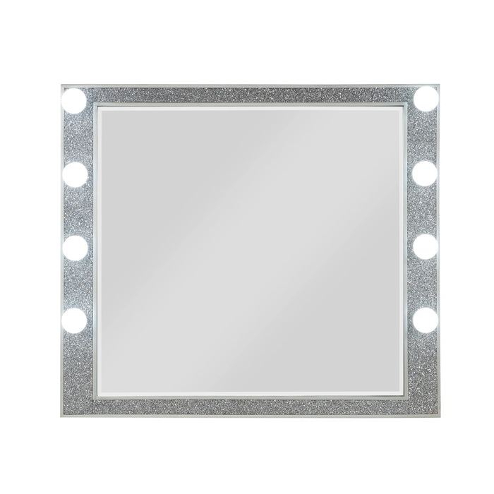 Mirror w/Light