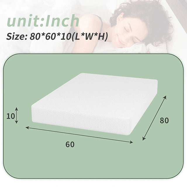 Coreopsis 10" Memory Foam Wave Comfort