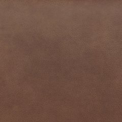 Status Check Recliner