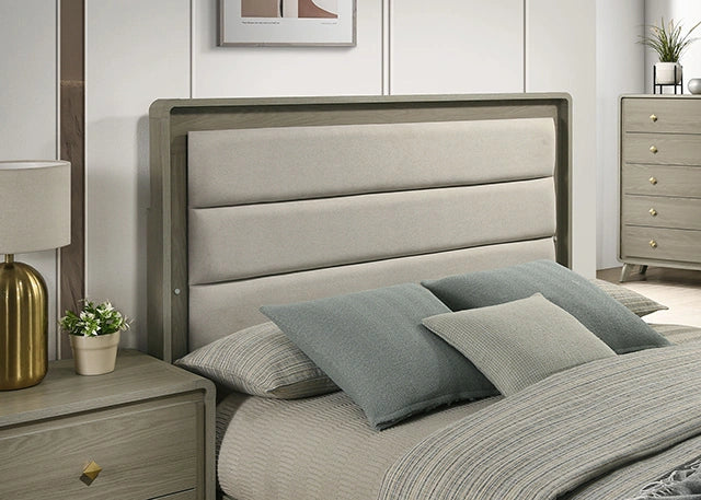 Rainier Bed