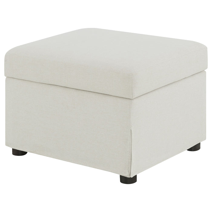 Winter Storage Ottoman