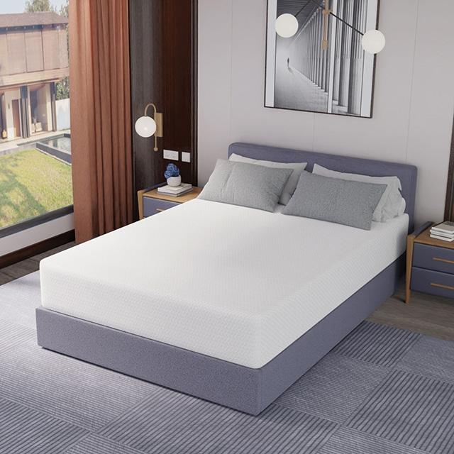 Forsythia 12" Queen Green Tea Gel Memory Foam