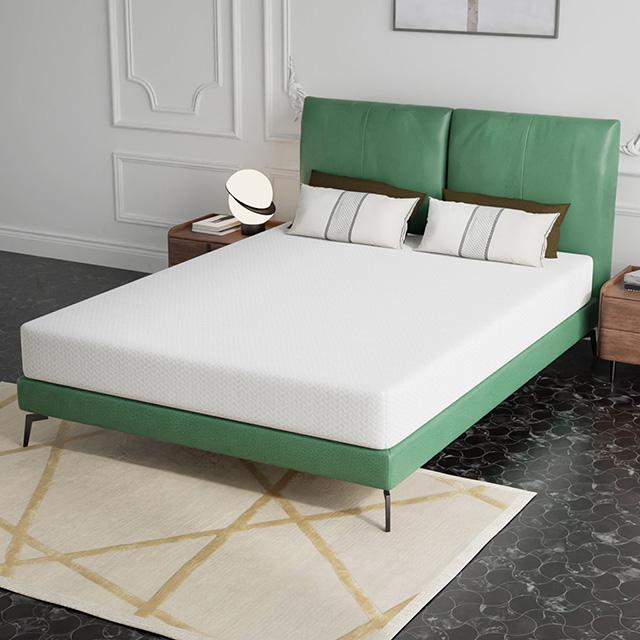 Forsythia 8" Green Tea Gel Memory Foam