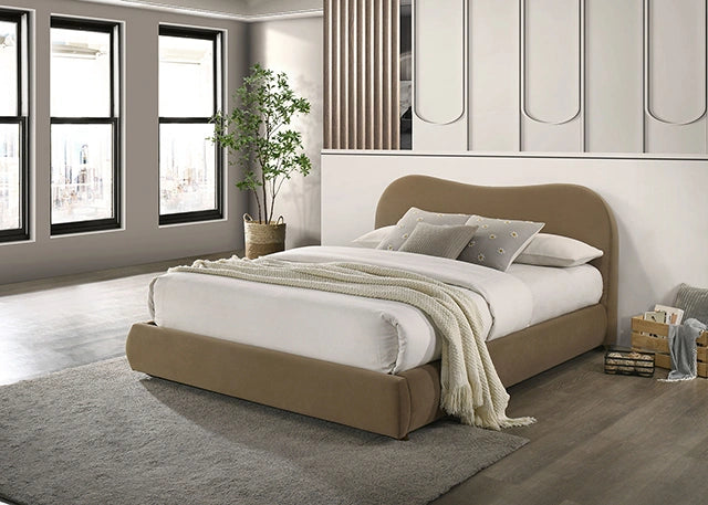Grimsby Bed