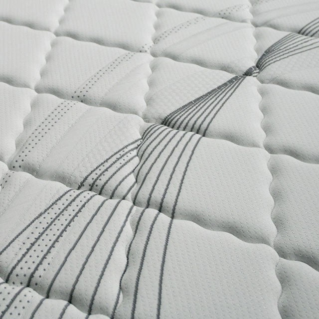 EDREA White/Gray 10" Tight Top Pocket Coil