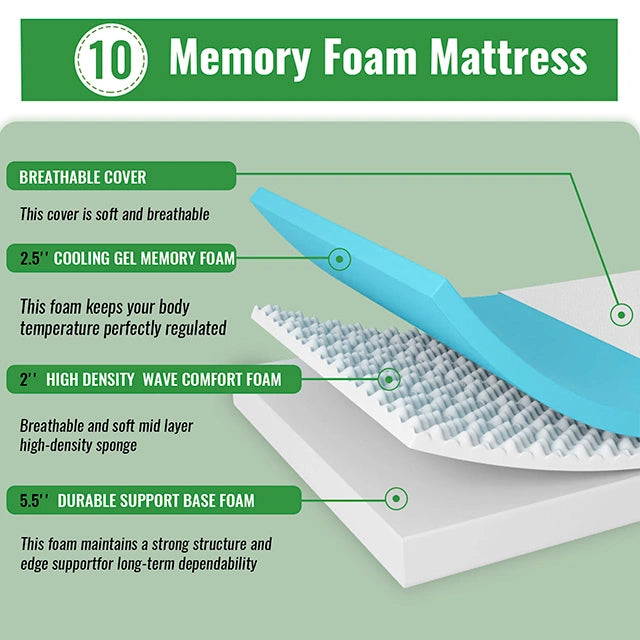 Coreopsis 10" Memory Foam Wave Comfort