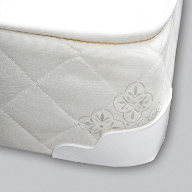 Daisy 8" Full & Queen Size