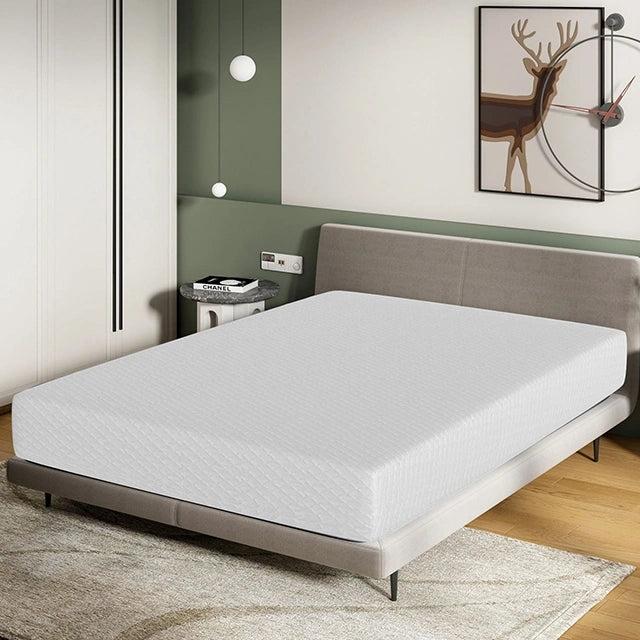 Artemisia 10" Memory Foam Mattress
